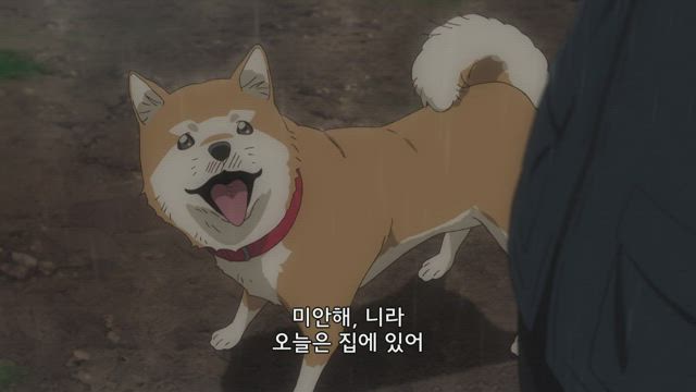 바람이 강하게 불고 있다 11화 썸네일