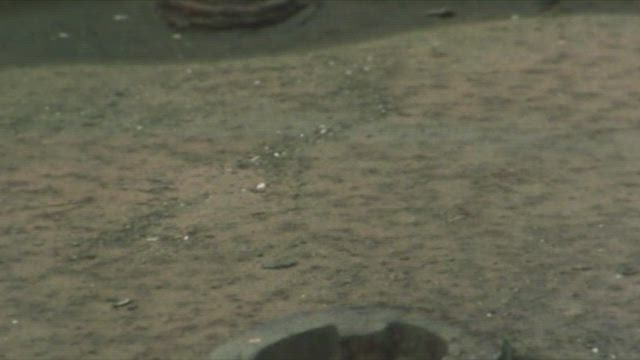 (더빙) 싸이보그 스필반 18화 썸네일