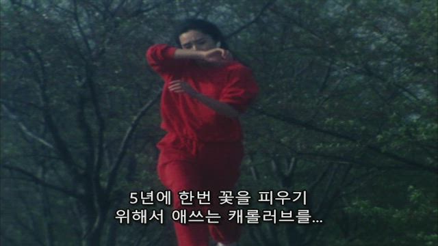 광전대 마스크맨 15화 썸네일