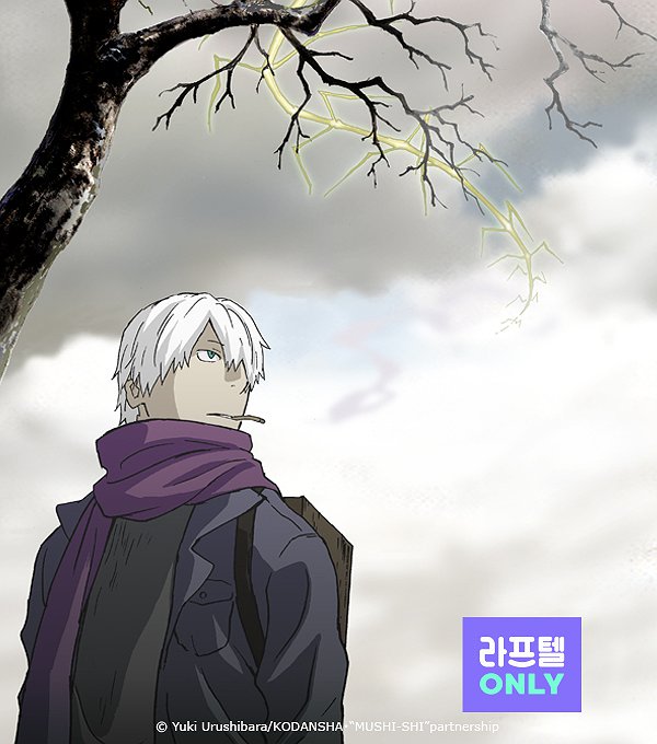 충사 표지
