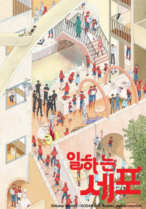 일하는 세포 표지